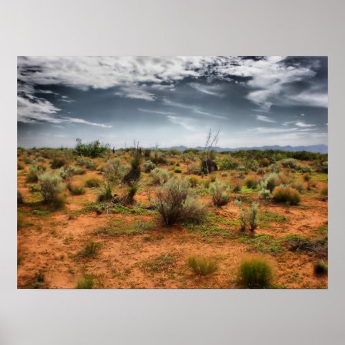 Desert Of New Mexico Poster