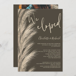 Desert pampas boho beige we eloped wedding photo announcement