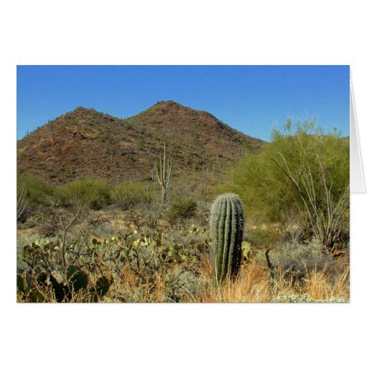 Desert Paradise Cards (Front Horizontal)