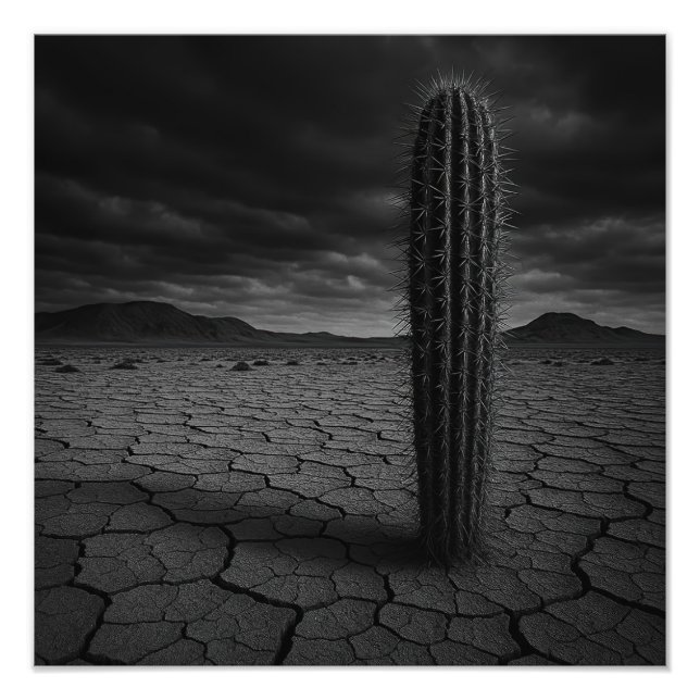Desert - Photo Print (Front)