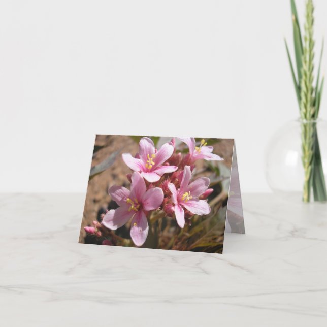 Desert Pink - Note Card (Front)