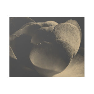 Desert Plant Portrait in Sepia Gallery Wrap