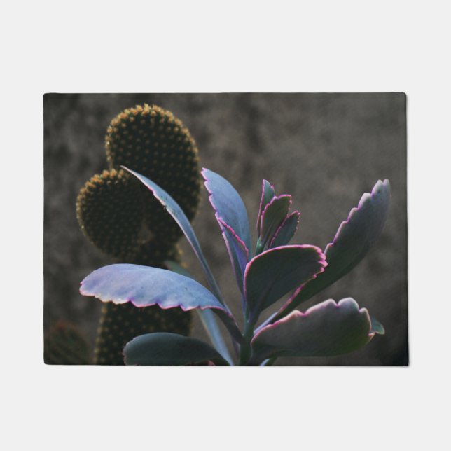 Desert Plants Doormat (Front)
