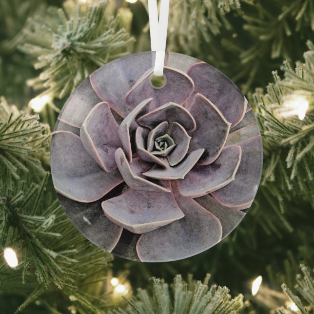 "DESERT PLANTS/SOUTHWEST THEME/SUCCULENT PLANTS GLASS ORNAMENT (Insitu)