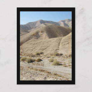 Desert Postcard