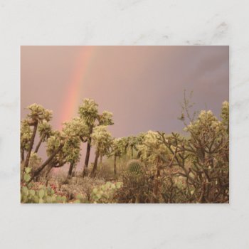 Desert Rainbow Postcard by poozybear at Zazzle