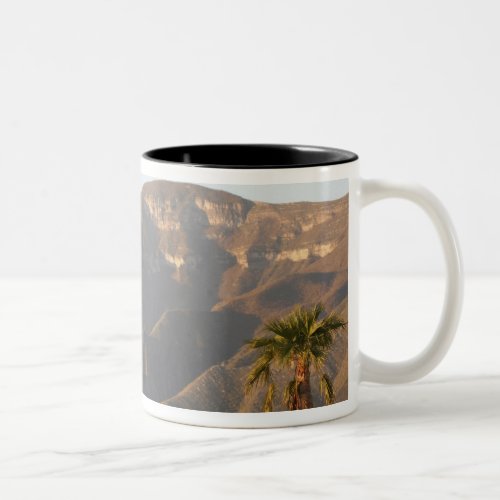 Desert ranch landscape near Monterey Mexico Two_Tone Coffee Mug