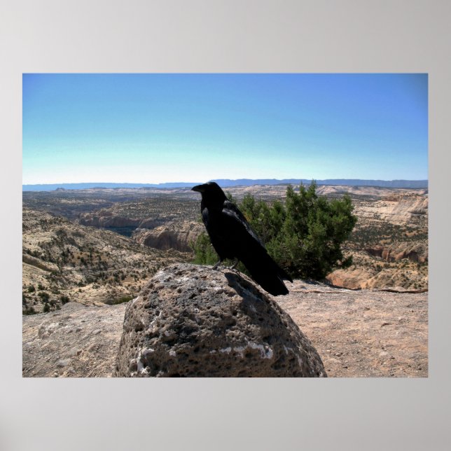 Desert Raven Poster (Front)