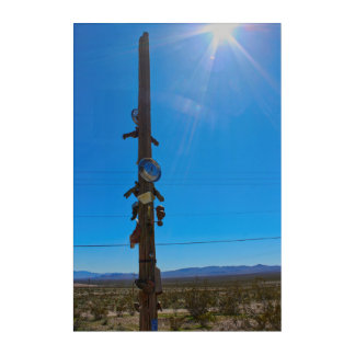 Desert Roadside Art