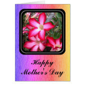 Desert Rose blank Mother's Day card (Front)