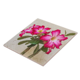 Desert Rose Flowers Ceramic Tile