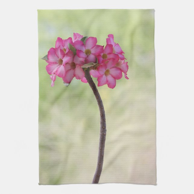 Desert rose in pink towel (Vertical)