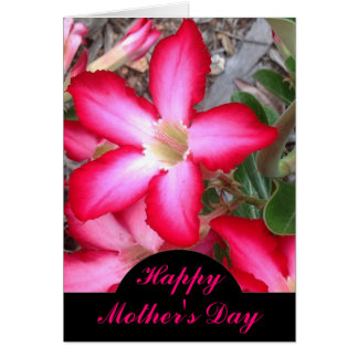 Desert Rose Mother's Day card