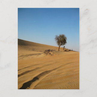 Desert Safari Abu Dhabi Postcard