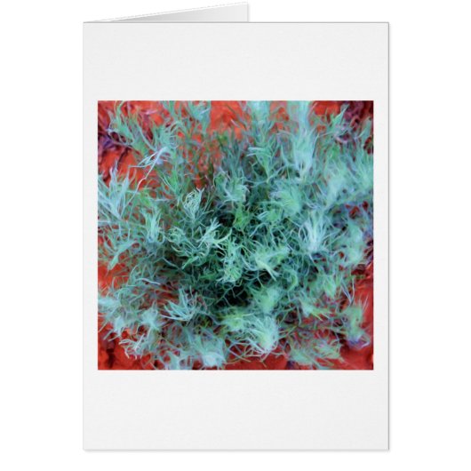Desert Sage Cards (Front)