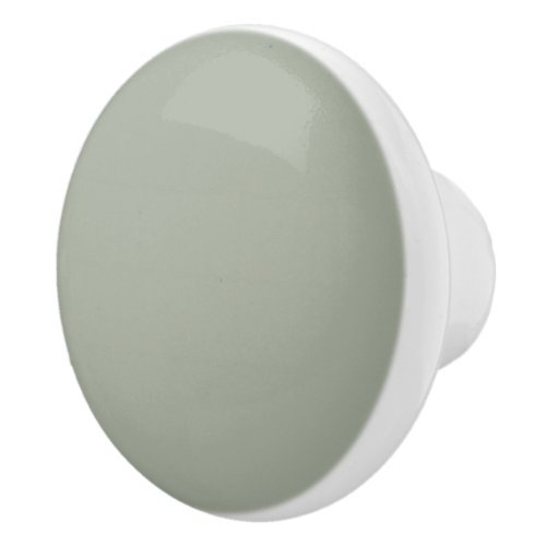 Desert Sage Solid Color Ceramic Knob