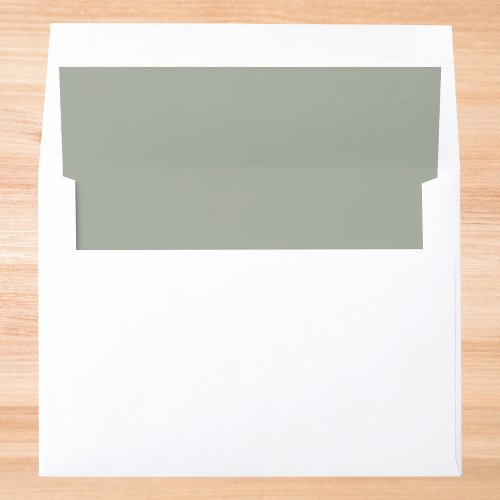 Desert Sage Solid Color Envelope Liner