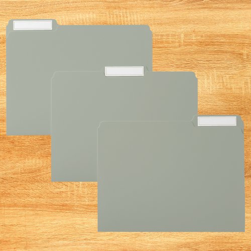 Desert Sage Solid Color File Folder