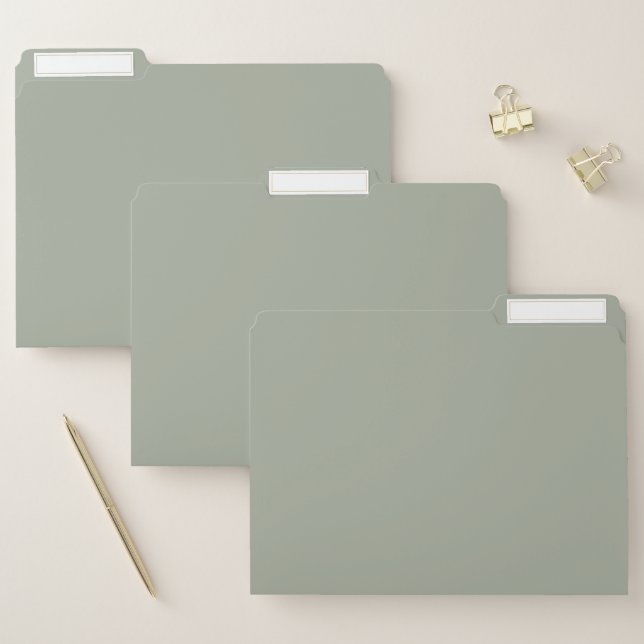 Desert Sage Solid Color File Folder (Set)