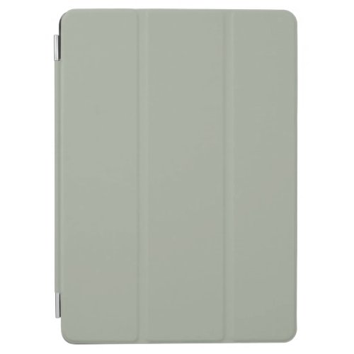 Desert Sage Solid Color iPad Air Cover