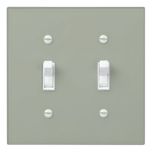Desert Sage Solid Color Light Switch Cover