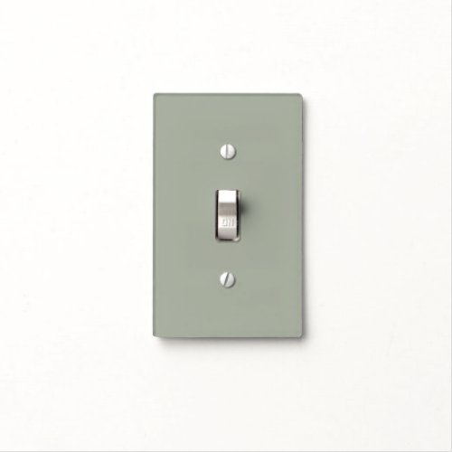 Desert Sage Solid Color Light Switch Cover