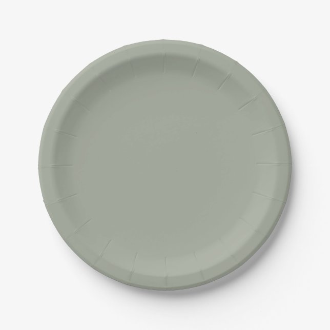 Desert Sage Solid Color Paper Plates (Front)