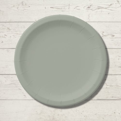 Desert Sage Solid Color Paper Plates