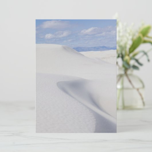 Desert Sand Dunes (Standing Front)