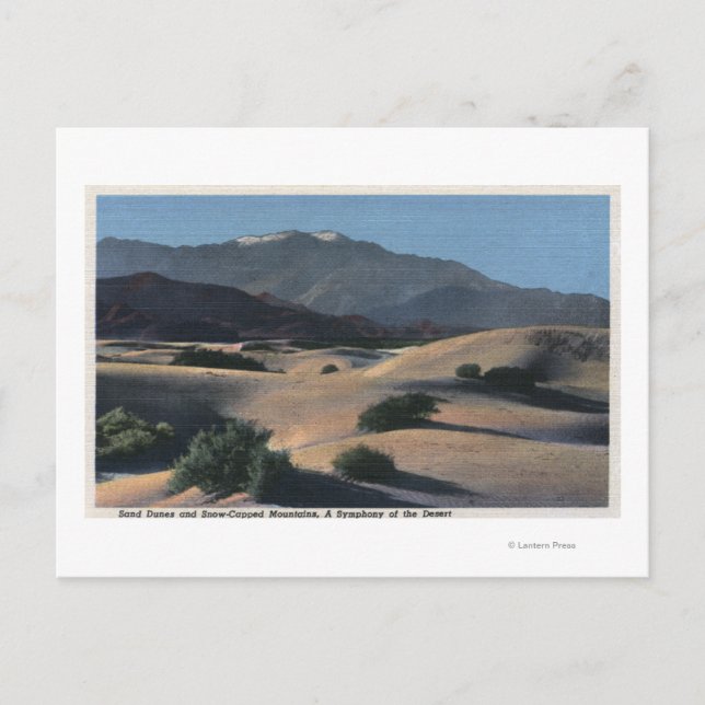 Desert Sand Dunes and Snow-Capped Mountains Postcard (Front)
