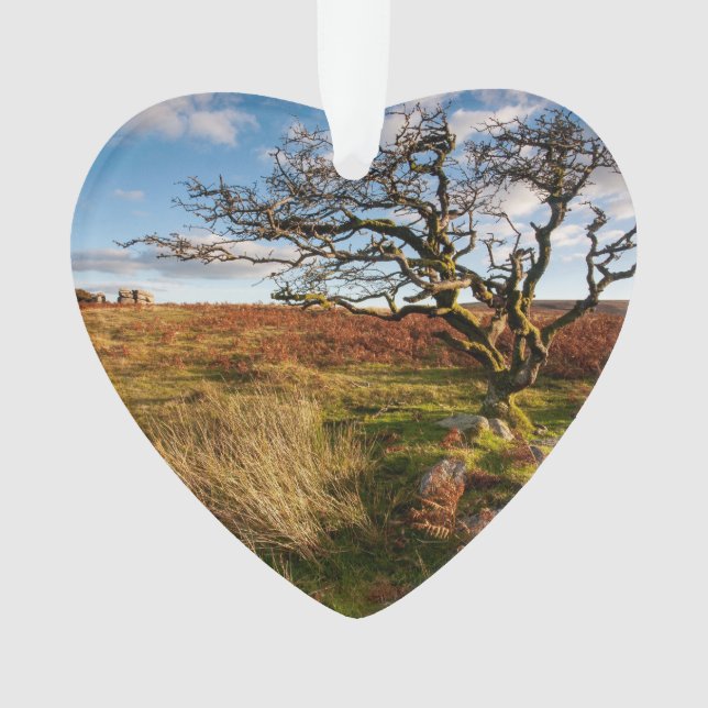 Desert Savannah  Dated Photo Custom Ornament (Front)