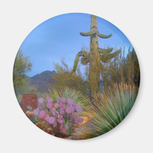 Desert Scene Magnet (Front)
