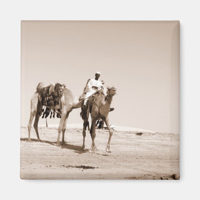 Desert Scene Magnet (Front)