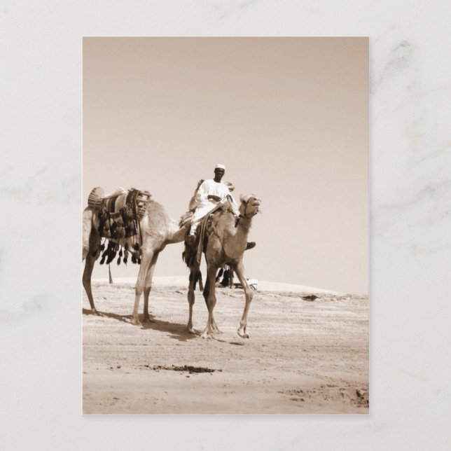 Desert Scene Postcard (Front)