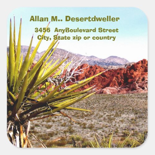 Desert Scenery Cacti  Return Address Square Sticker