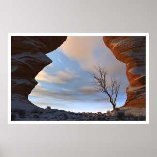 Desert Snow Poster