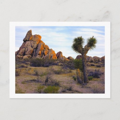  Desert Soft Light  Postcard