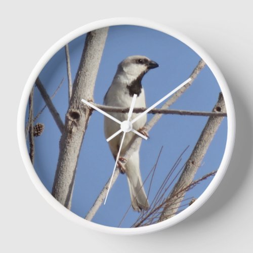 Desert Songbird on a Winter Branch Clock