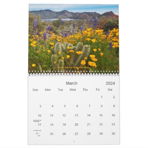 Desert Southwest 2011 Scenic Calendar Zazzle