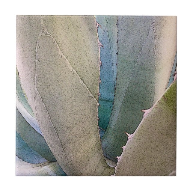 Desert Southwest Botanical Ceramic Tile (Front)