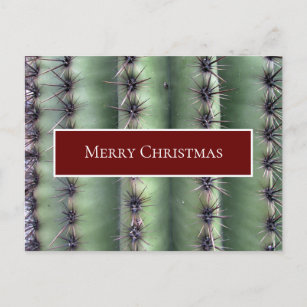 Desert Southwest Christmas Cactus Postcard