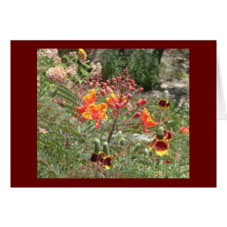 Desert southwest flowers cards