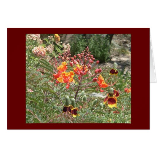 Desert southwest flowers cards (Front Horizontal)