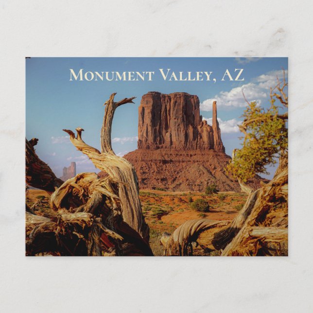 Desert Southwest Monument Valley Arizona Postcard (Front)