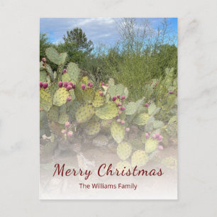 Desert Southwest Prickly Pear Cactus Christmas Holiday Postcard