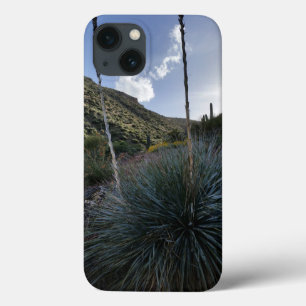 Desert Southwest Sotol Plants Scenic Image Arizona iPhone 13 Case