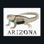 Desert Spiny Lizard ARIZONA Wild Animal Nature Art Postcard<br><div class="desc">Customize this cute lizard card by adding your own text. Check my shop for more!

If you buy it,  thank you! Be sure to share a pic on Instagram of it in action and tag me @shoshannahscribbles :)</div>