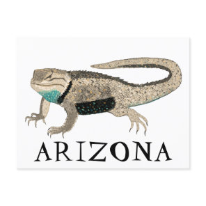 Desert Spiny Lizard ARIZONA Wild Animal Nature Art Postcard