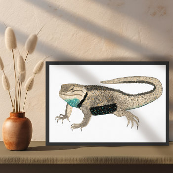 Desert Spiny Lizard Art Reptile Animal Nature  Poster by ShoshannahScribbles at Zazzle