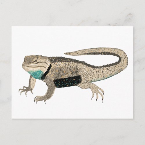 Desert Spiny Lizard Reptile Animals Nature Art Postcard